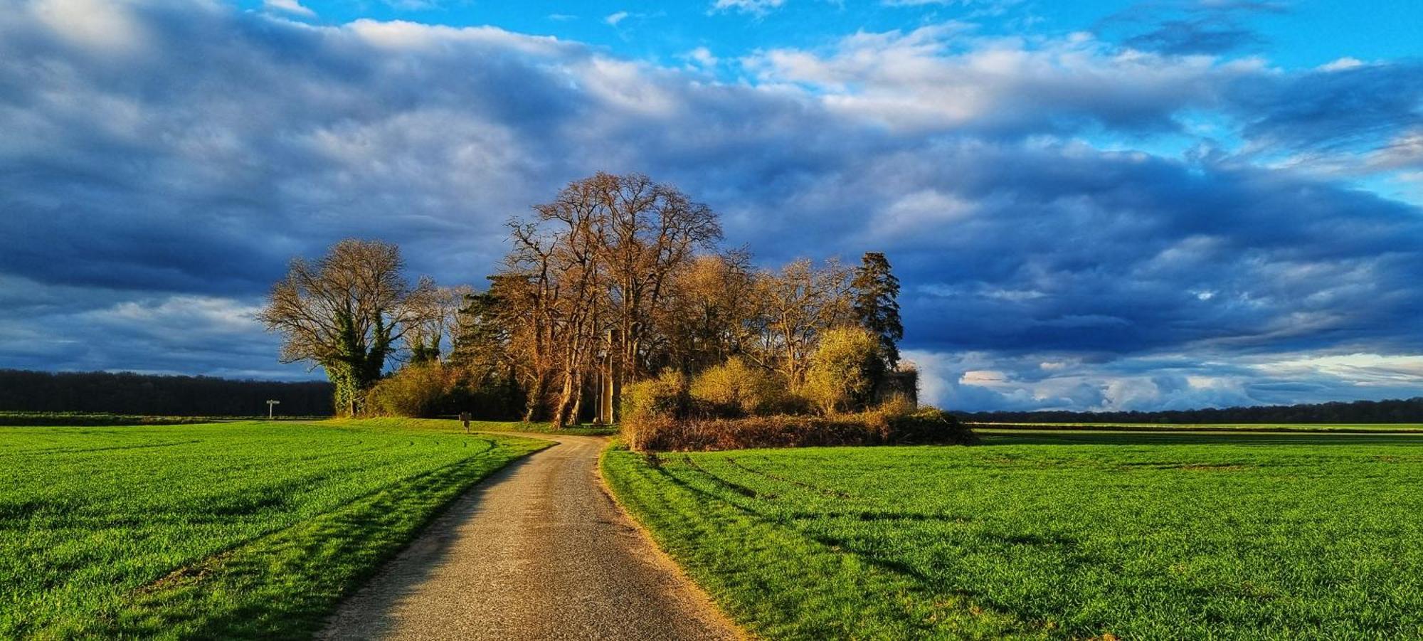 Le Clos Champlieu Orrouy Buitenkant foto