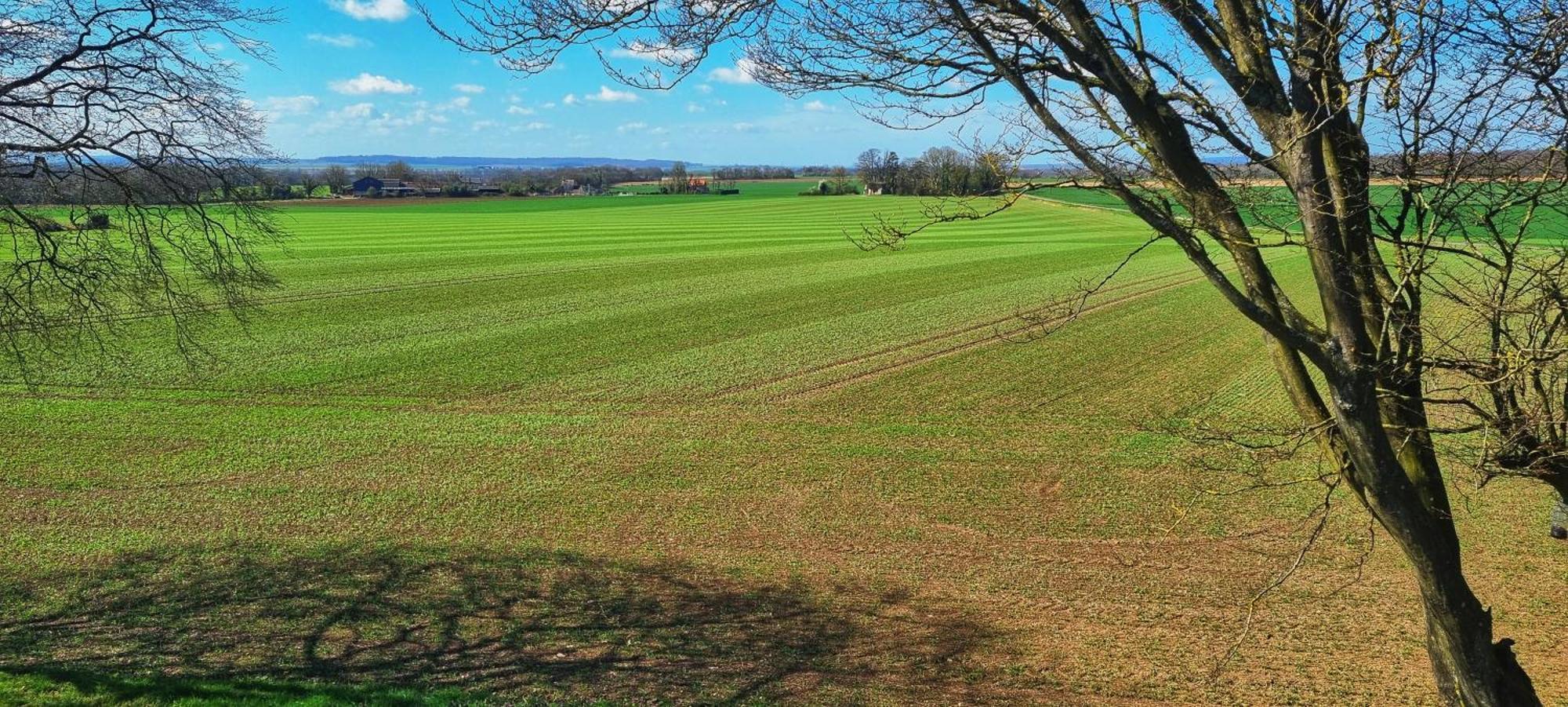Le Clos Champlieu Orrouy Buitenkant foto