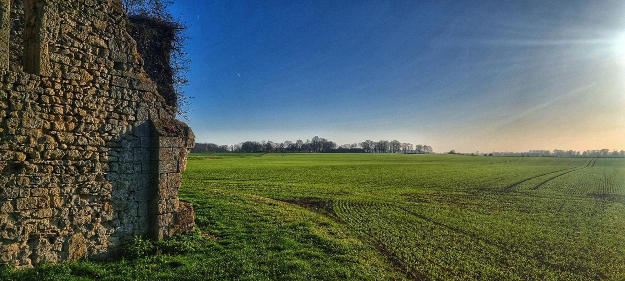 Le Clos Champlieu Orrouy Buitenkant foto